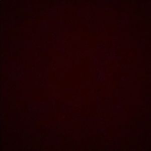 Meet your Posher, Eva